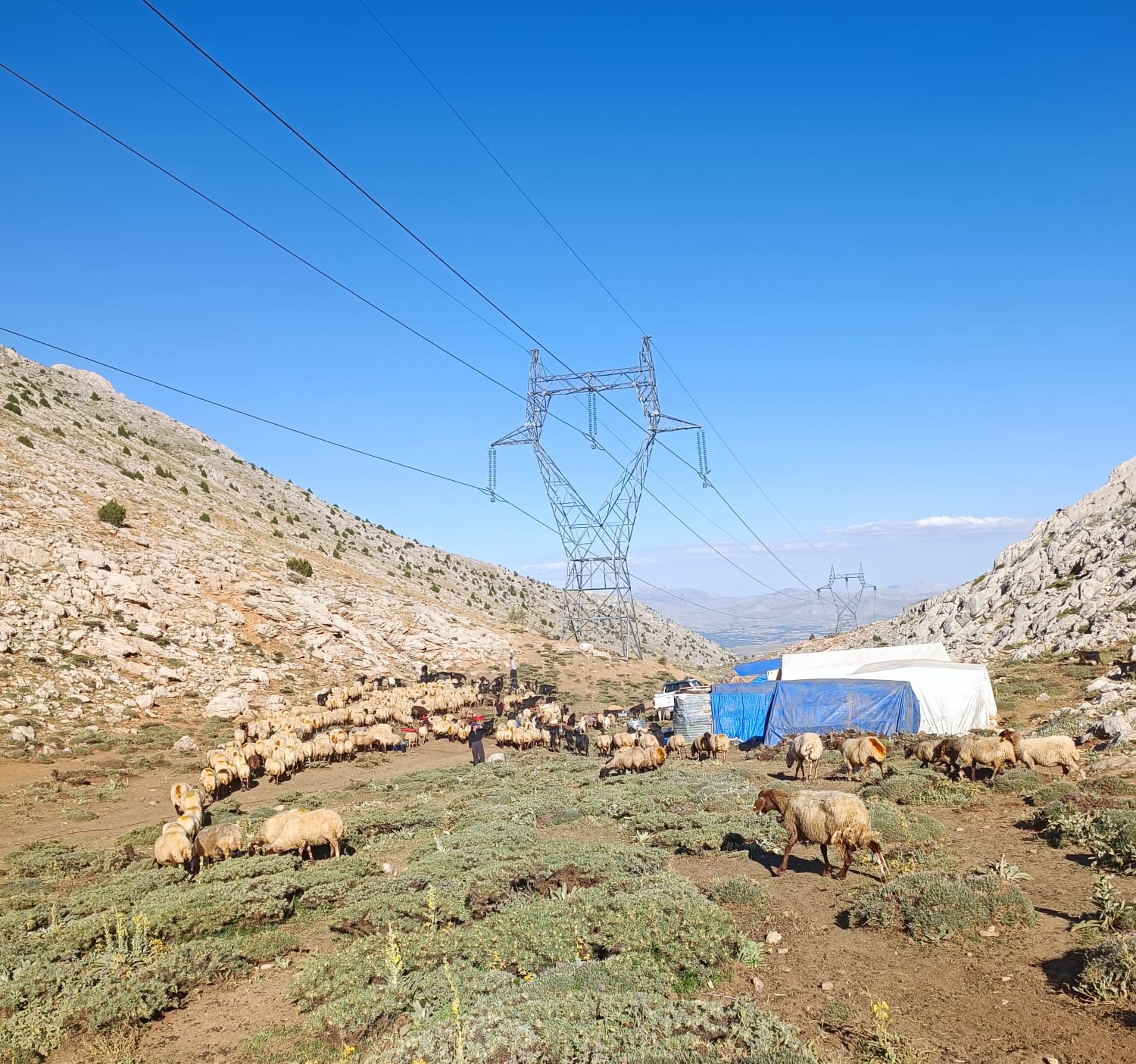 Yayla'da kalan üyemizin görüntüsü