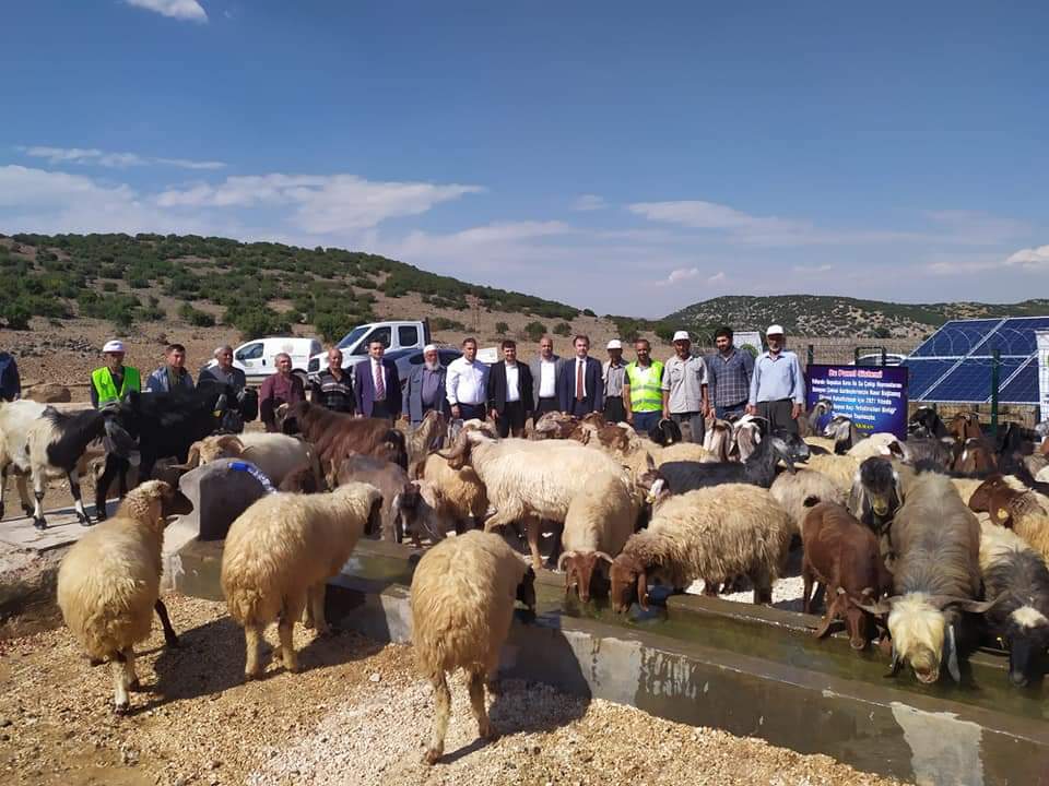Gaziantep'te merada hayvanların su ihtiyaçlarını karşılamak üzere güneş paneli ile çalışan su kuyusundan görüntü